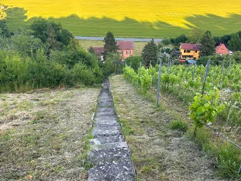 FeWo Weinberghaus "Zum Steinkauz"の写真
