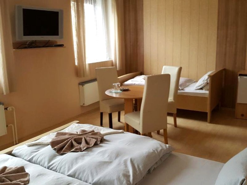 Pension U Dubuの写真