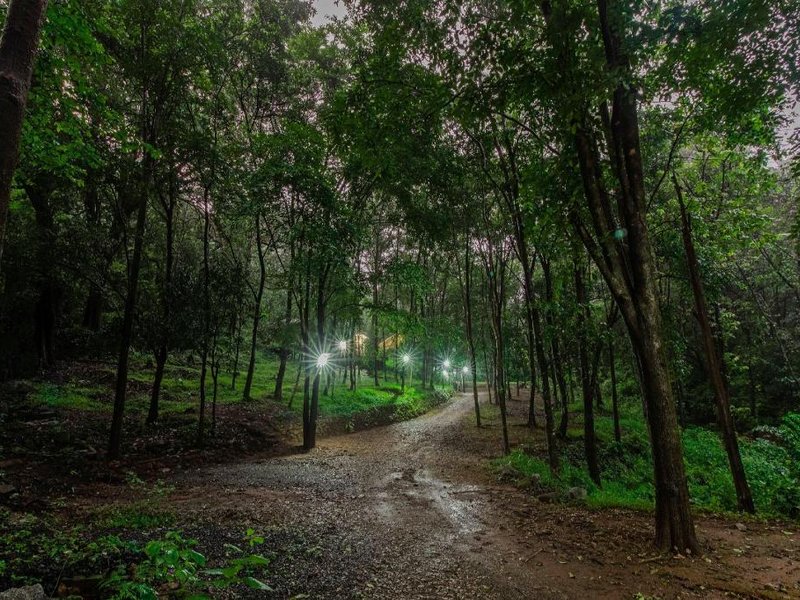 Old Magazine House - Jungle Lodgesの写真