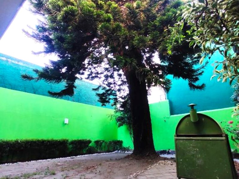 Hotelito Ejido San Aleの写真