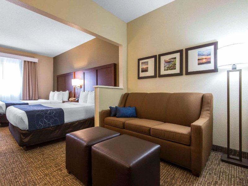コンフォート スイーツ ロチェスター ヘンリエッタ ユニバーシティ エリア (Comfort Suites Rochester Henrietta University Area)の写真