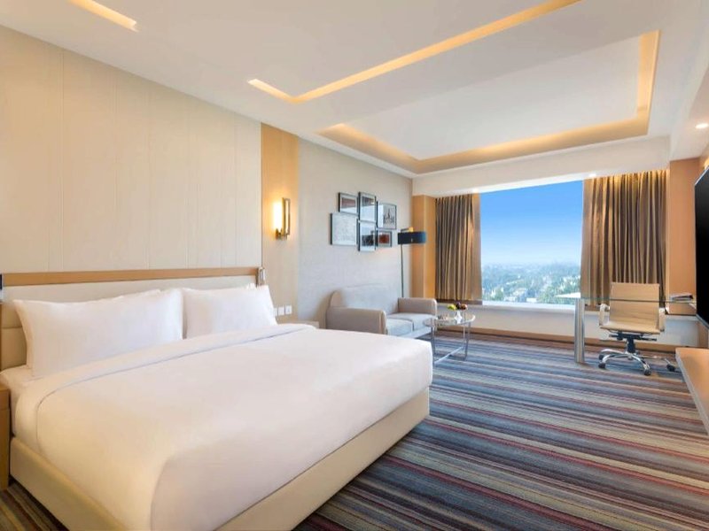 ラディソン ブル ゴーラクプル (Radisson Blu Gorakhpur)の写真