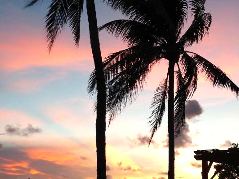 Conch Key Fishing Lodge & Marinaの写真