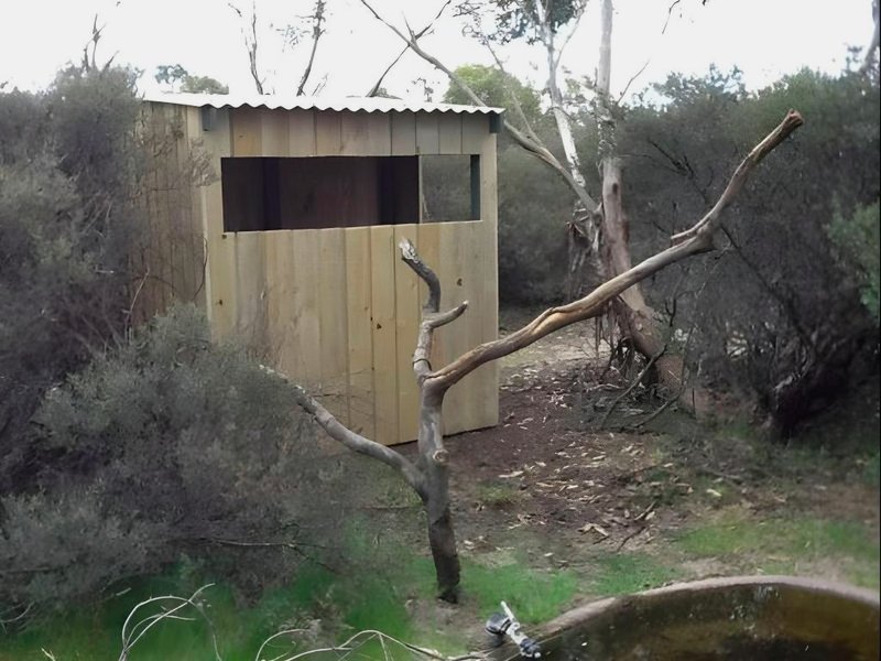 リトル デザート ネイチャー ロッジ (Little Desert Nature Lodge)の写真