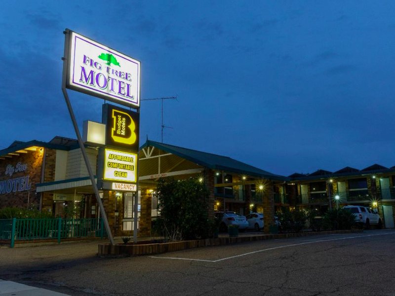 フィグツリー モテル (Figtree Motel)の写真