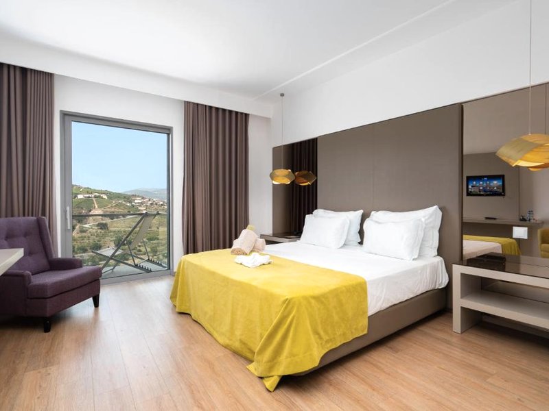 Delfim Douro Hotelの写真