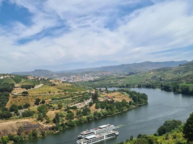 Delfim Douro Hotelの写真