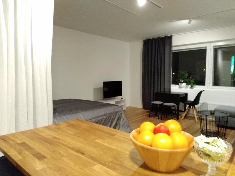 Studiohuoneisto Lohjan keskustaの写真