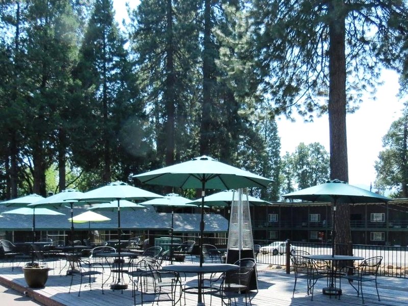 シャスタ イン (Shasta Inn)の写真
