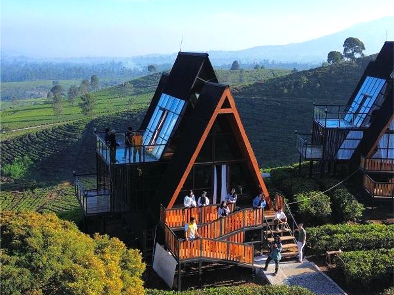 Nimo Tea Resortの写真