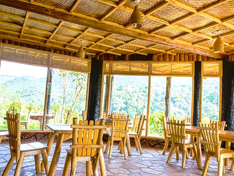 ルシャガ ゴリラ キャンプ (Rushaga Gorilla Camp)の写真