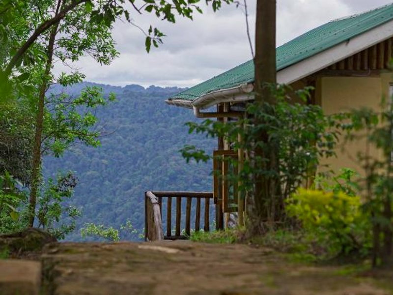 Bwindi Orugano Lodgeの写真