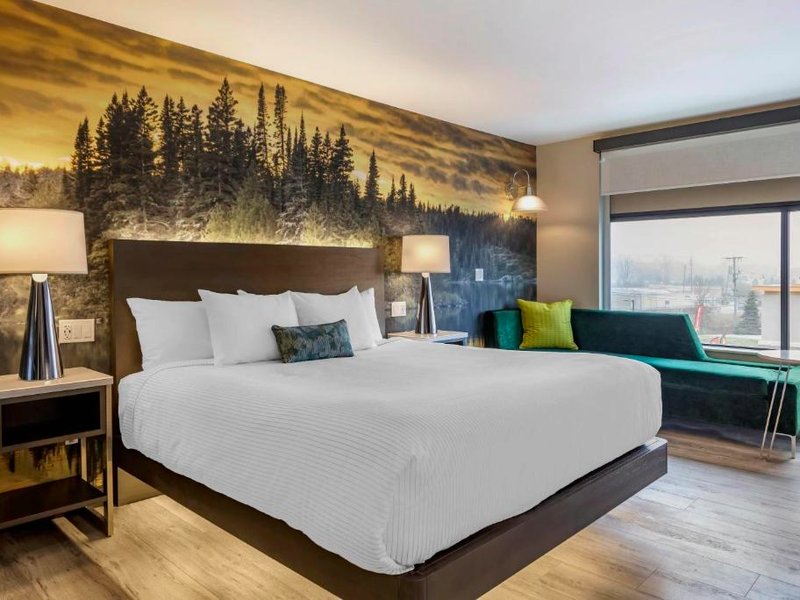 カンブリア ホテル シェルビー タウンシップ デトロイト ユーティカ (Cambria Hotel Shelby Township - Detroit Utica)の写真