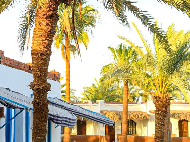 Palm Valley campの写真