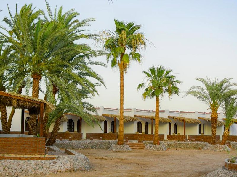 Palm Valley campの写真