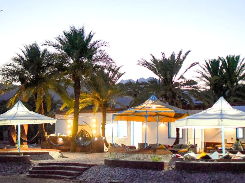 Palm Valley campの写真