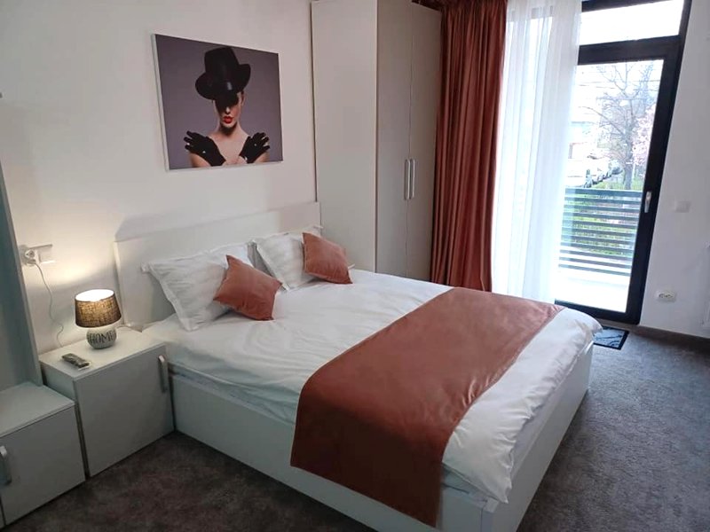 ApartHotel Oltuluiの写真