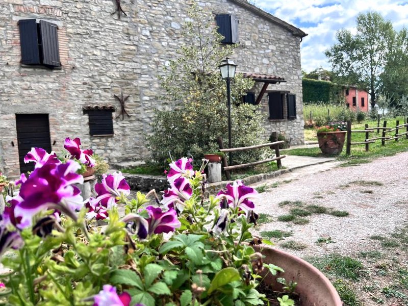 Agriturismo La Cerquaの写真