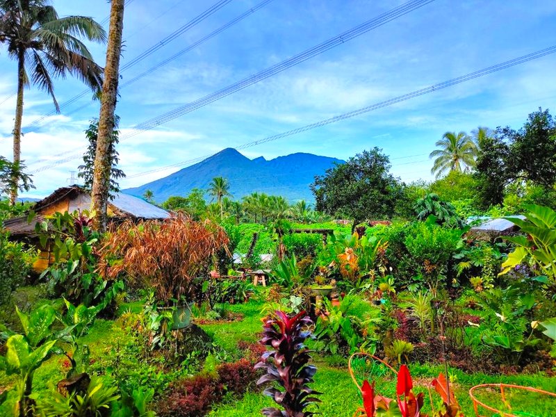 LK Farmcation Cabin Ligaya - Lucban, Quezonの写真