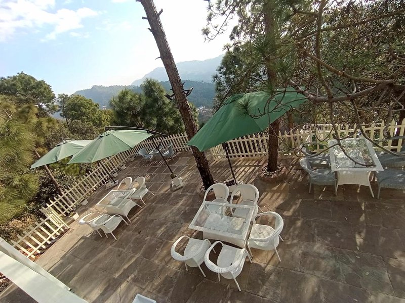 Koro Treehouse Resortの写真
