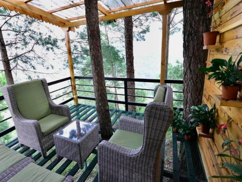 カサウリ ヒルズ リゾーツ (Kasauli Hills Resorts)の写真