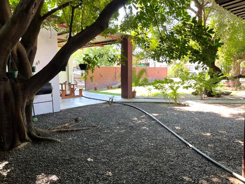 Kololo Guesthouseの写真