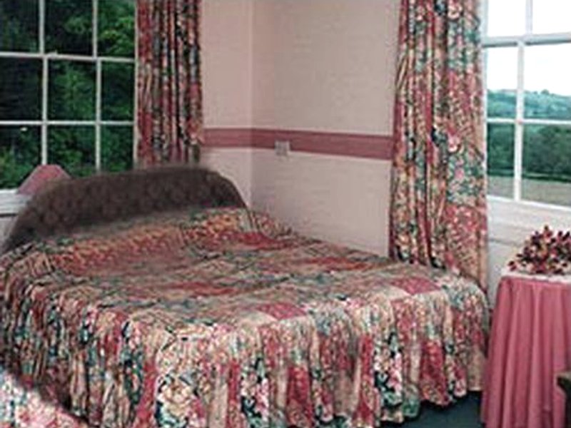 Dolforwyn Hall Country Houseの写真