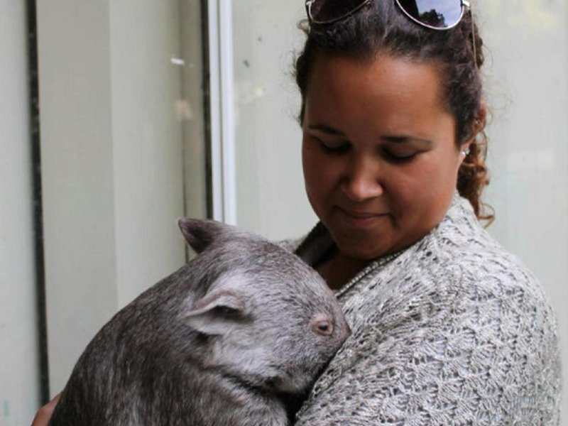 ファウナ オーストラリア ワイルドライフ リトリート (Fauna Australia Wildlife Retreat)の写真