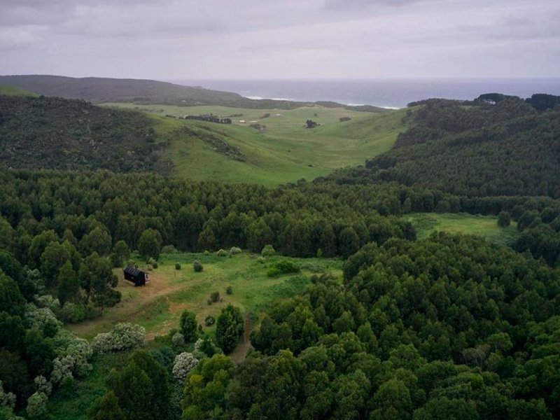Ocean View Off-Grid Cabin Secluded in Nature - Govindの写真