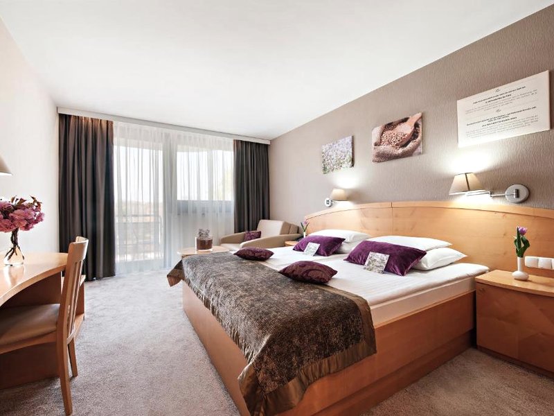 Hotel Ajda - Terme 3000 - Sava Hotels & Resortsの写真