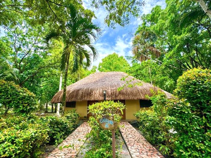 The Mayan Gardenの写真