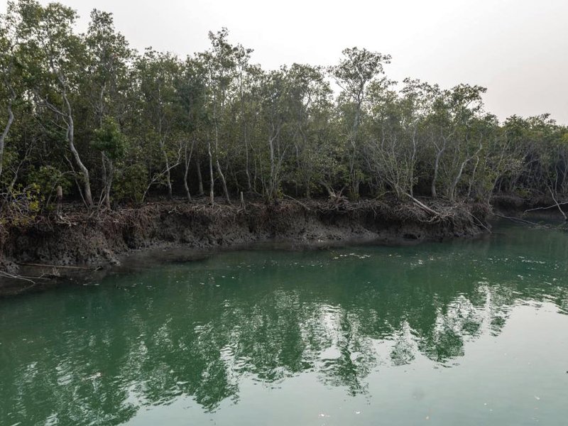 Jhore Jole Jongole - Eco Heritage Resortの写真