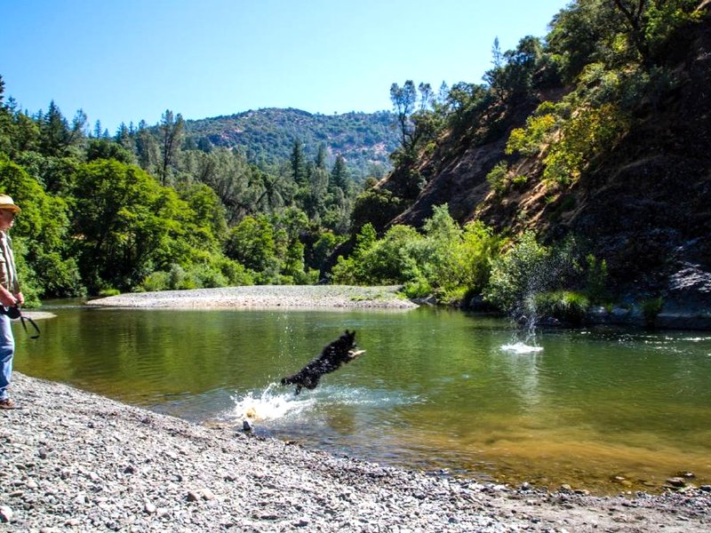 Russian River Camping Resort One-Bedroom Cabin 2の写真