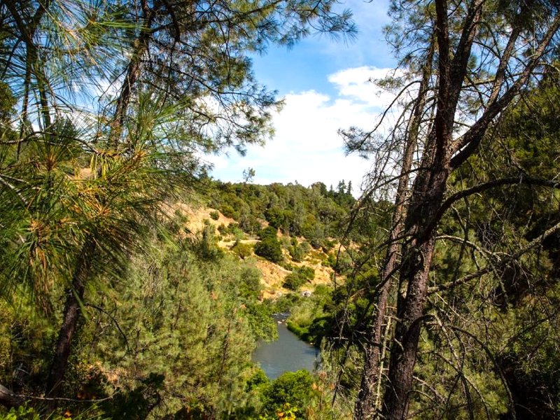 Russian River Camping Resort One-Bedroom Cabin 2の写真