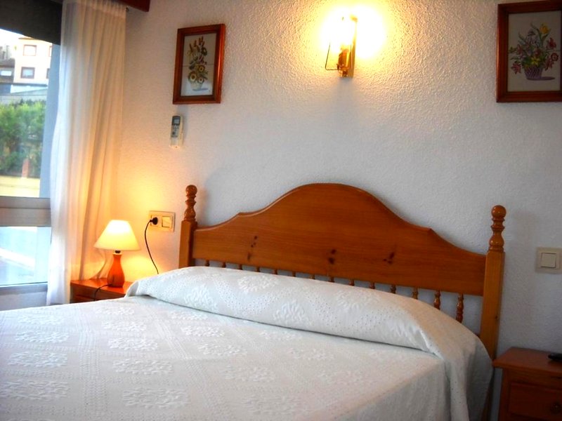 Pension El Pirineoの写真