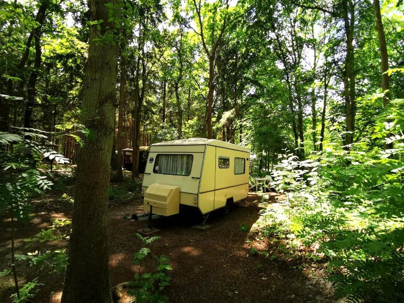 DDR Kult Wohnwagen direkt am Strandの写真