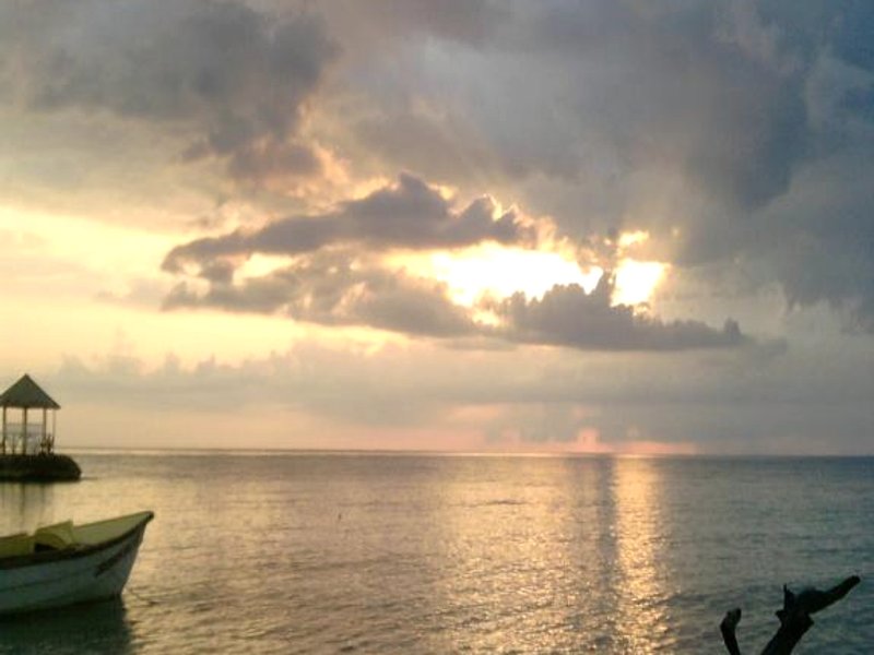 Shades Cottage Guesthouseの写真
