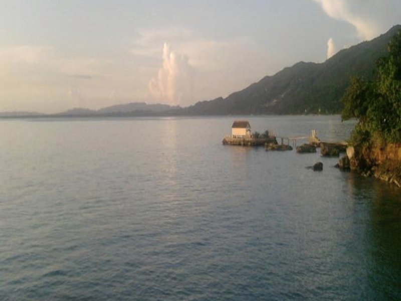 Shades Cottage Guesthouseの写真