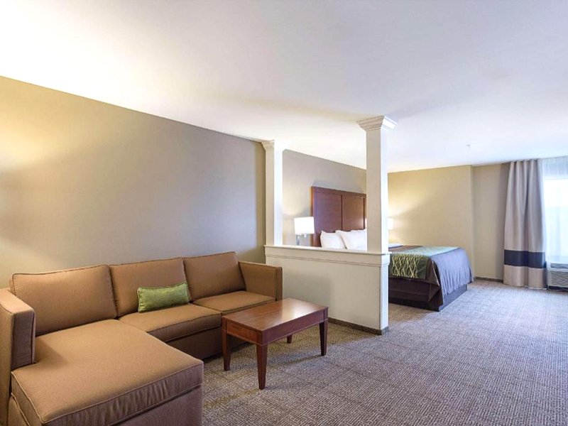 Comfort Inn & Suites Zacharyの写真