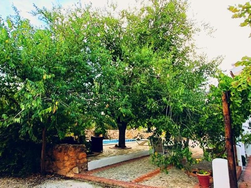 Cortijo Ricaの写真