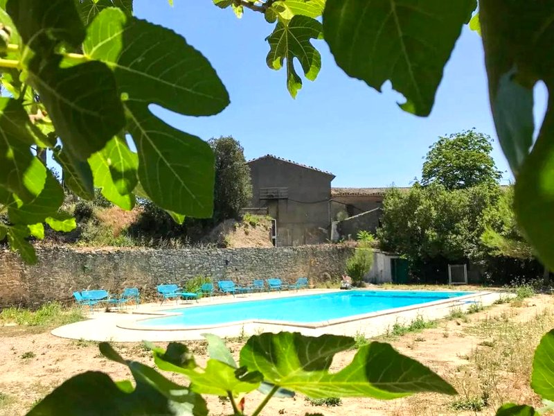 Villa familiale près de Laure-Minervois avec piscine (Villa familiale pres de Laure-Minervois avec piscine)の写真