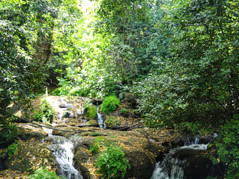 Waterfall Heaven Houseの写真