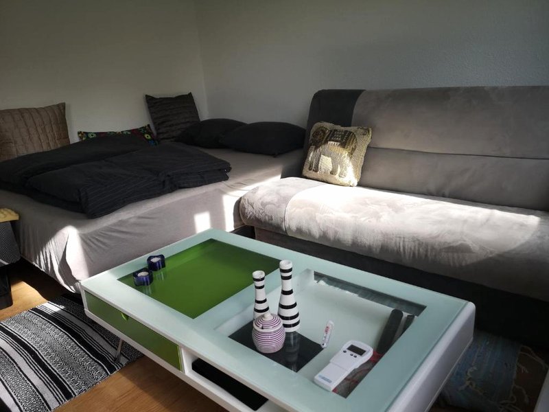 Billig og Hyggelig Overnatning i Skive Cheap and Cozy Accommodation No 34の写真