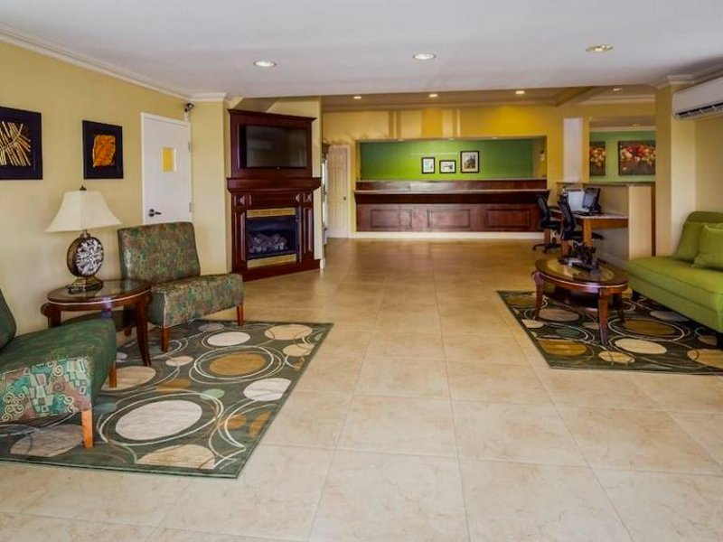 The Inn on Storrsの写真