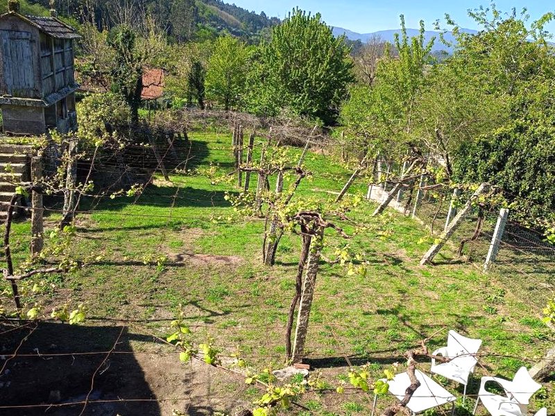 Pensión Rural para Peregrinos "AREAL" (Pension Rural para Peregrinos "AREAL")の写真