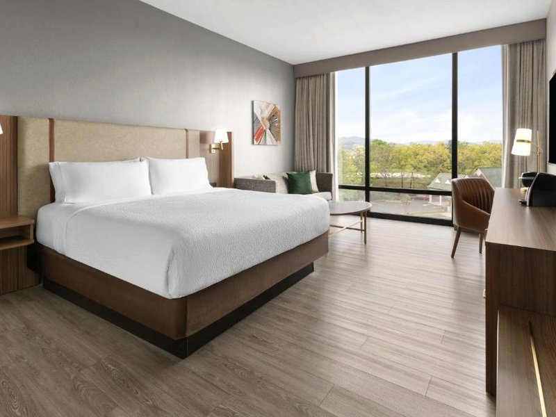 Holiday Inn Roanoke - Tanglewood Route 419 & I 581 By IHGの写真