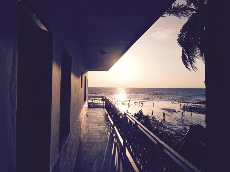 Pension Les Palmiersの写真