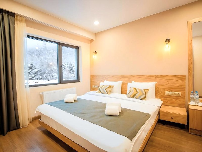 Hotel Bakuriani Innの写真