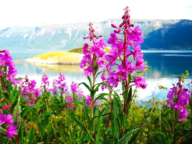 Kirkenes Hotellの写真