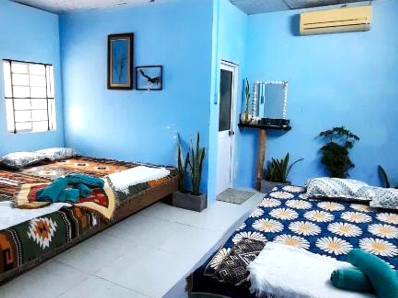 Út Ngọc Camping (Ut Ngoc Camping)の写真